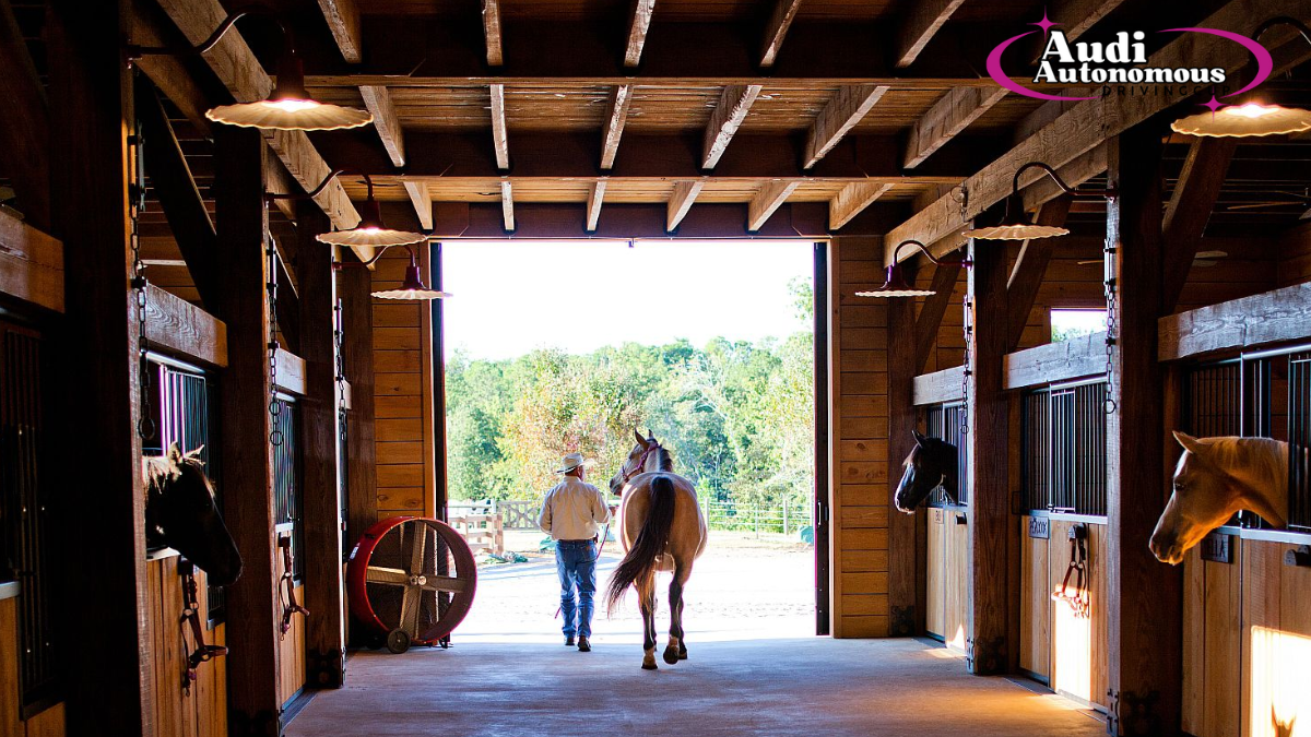 Horse Ownership: How Much Does a Horse Cost?